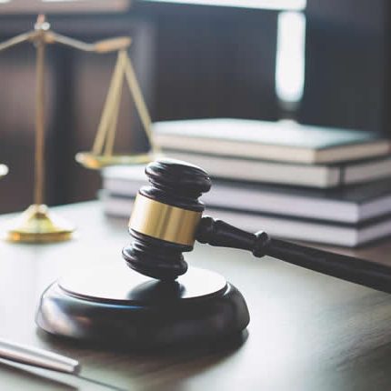 litigation business consulting company